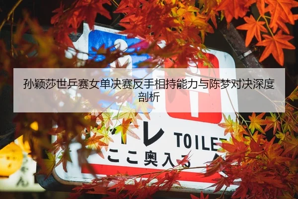 孙颖莎世乒赛女单决赛反手相持能力与陈梦对决深度剖析