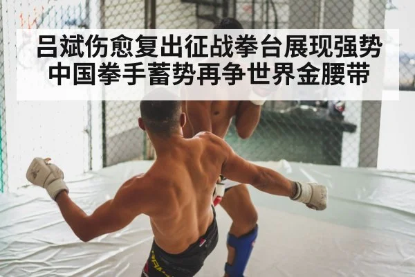 boxing fight